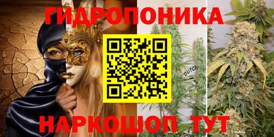 молекула духа Пенза