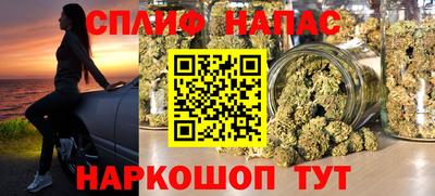 молекула духа Пенза