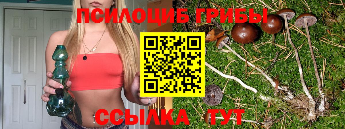 Псилоцибиновые грибы MAGIC MUSHROOMS Ростов-на-Дону